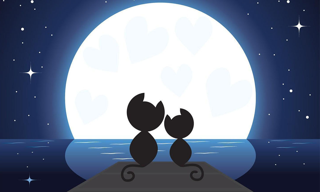 潮州潮客汇微信活动策划案例