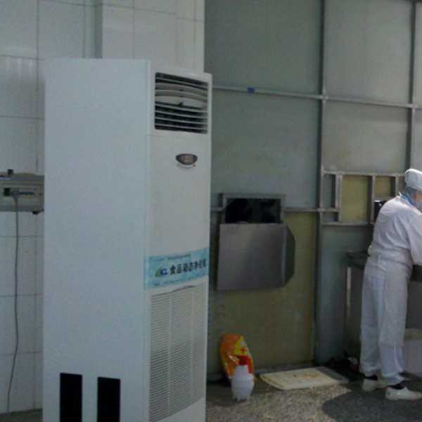 潮州食品正负离子空气杀菌器